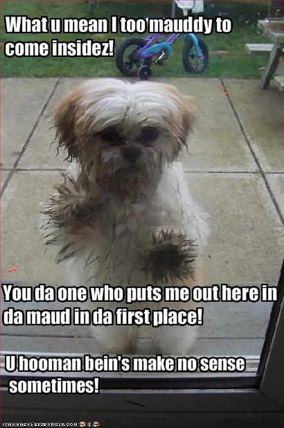 I Has A Hotdog - dirty - Page 4 - Funny Dog Pictures | Dog Memes ...