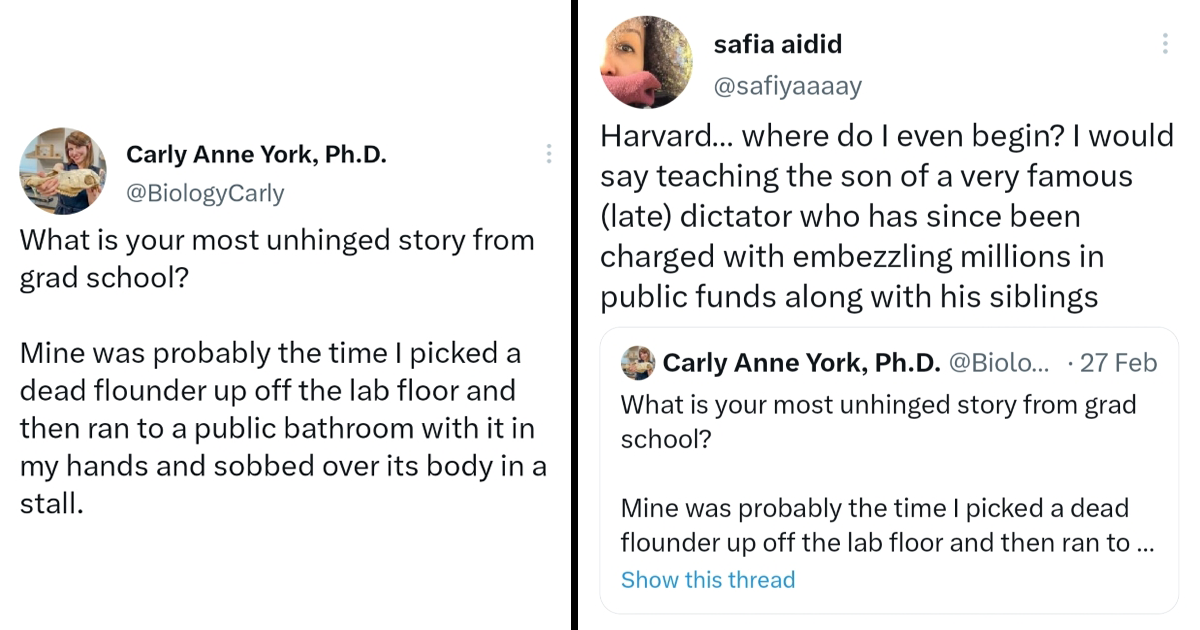 Former Students Share the Wildest Stories They Have From Grad School