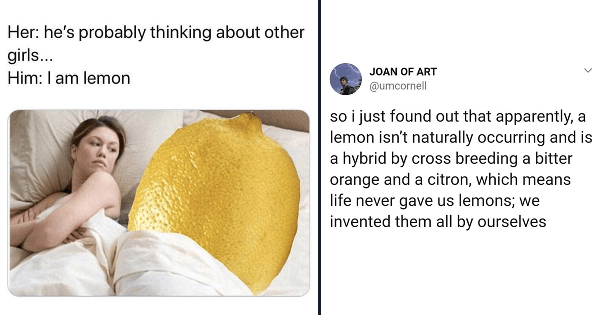 A Citrusy Burst Of Lemon Related Memes And Things Memebase Funny Memes