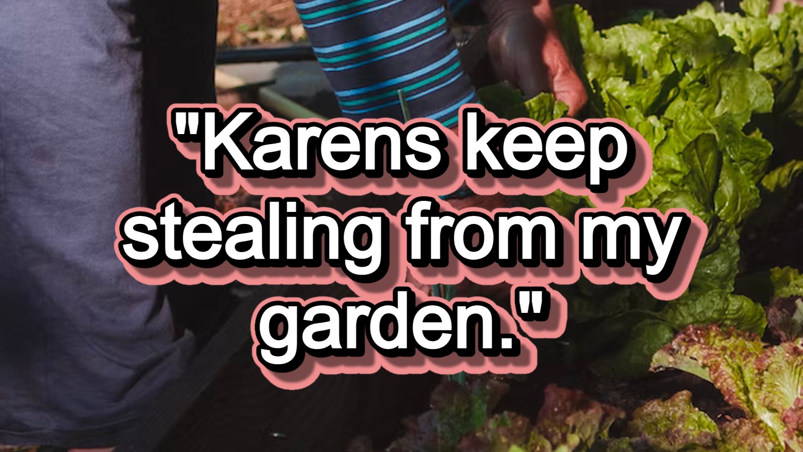 'Karens keep stealing from my garden' Garden grabbing karens get
