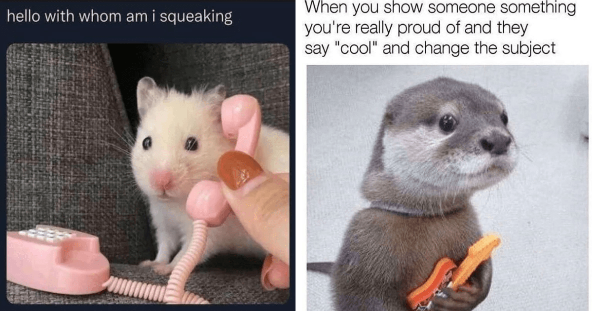 20 Relatable Animal Memes To Brighten Your Week - Animal Comedy ...