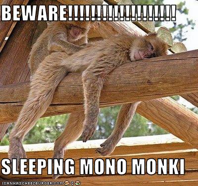 beware-sleeping-mono-monki
