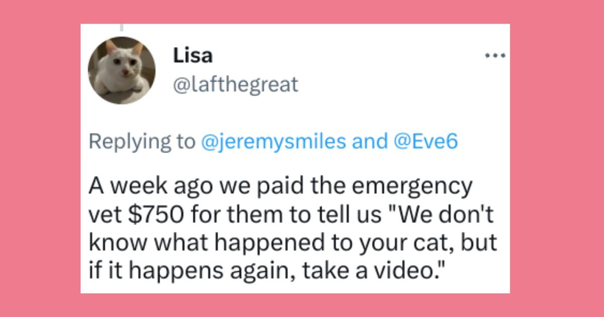 Comical Twitter Thread Illustrates How Ridiculously Expensive A Visit