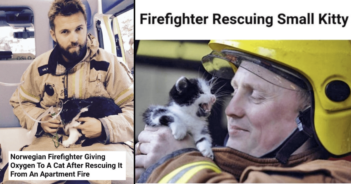 23 Pictures Of Heroic Firefighters Who Risked Their Lives To Save Our ...