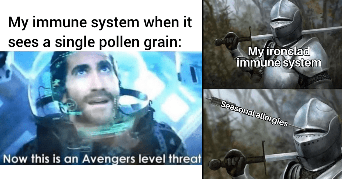 pollen allergies funny