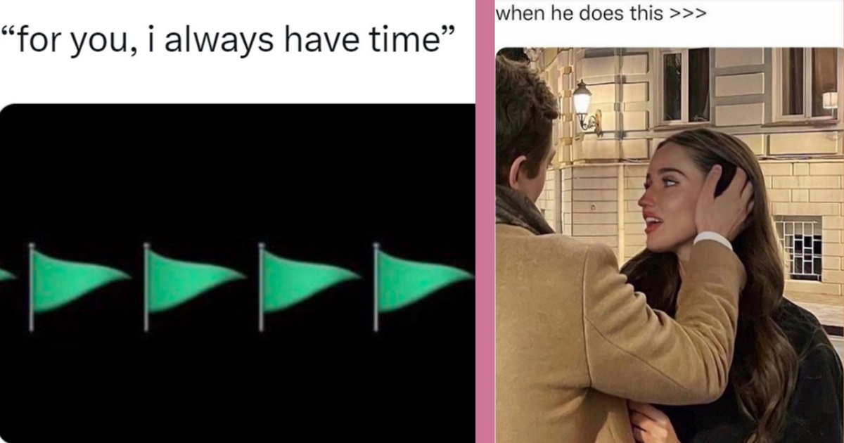 20 Memes for Girls Who Date Guys With Green Flag Energy CheezCake