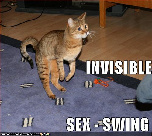 Invisible Sex Swing Cheezburger Funny Memes Funny
