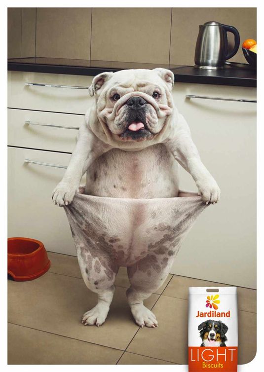 10 Funny Ad Campaigns Featuring Animals - I Can Has Cheezburger?
