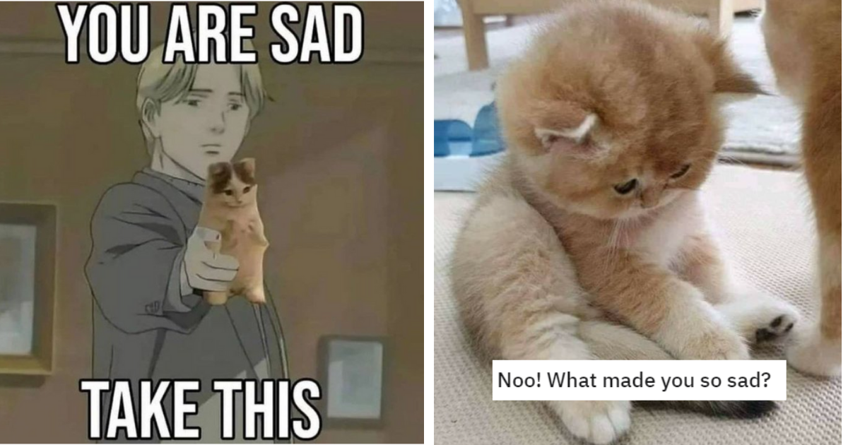 15 Sad Kitties Because It Is Back To Work Meow-day Again - I Can Has ...