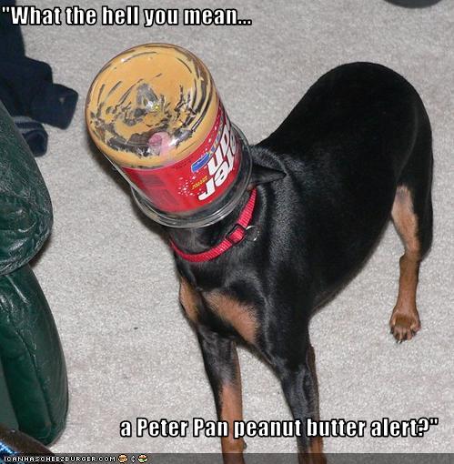 peter pan peanut butter for dogs