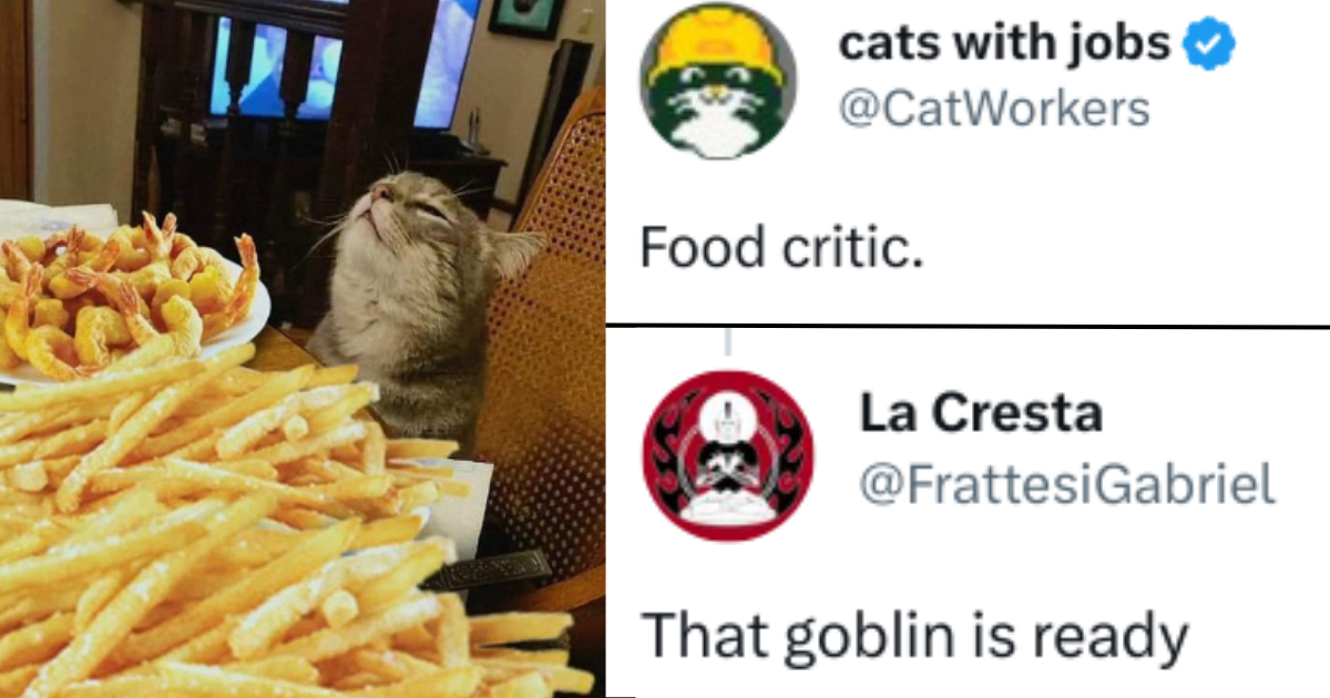 catfries' collection
