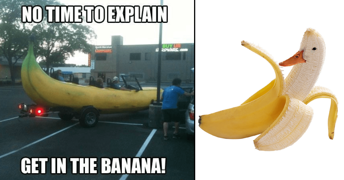 A Bunch of Banana Memes That Are Extremely Appealing - Memebase - Funny ...