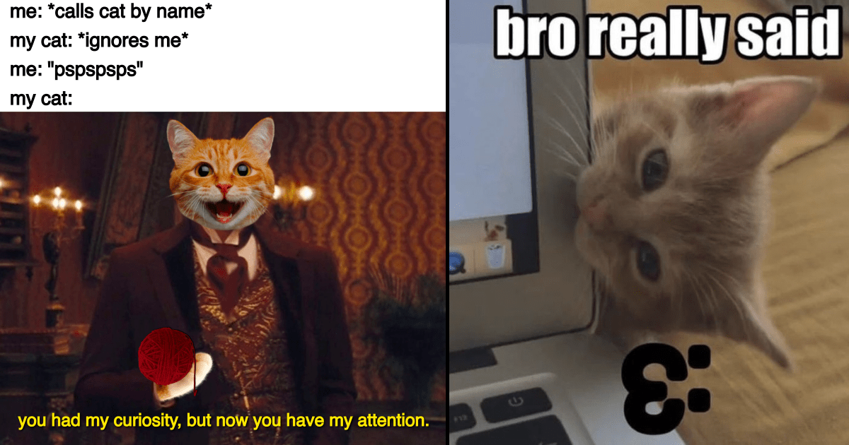 Make Your Own Board Game For Kids  Warrior cat memes, Warrior cats, Warrior  cats funny