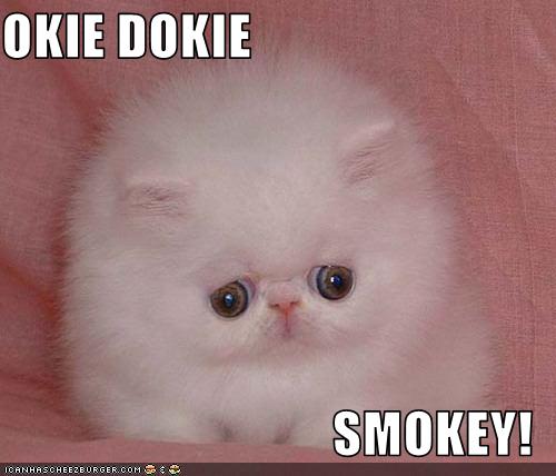 Okie Dokie Smokey Cheezburger Funny Memes Funny Pictures