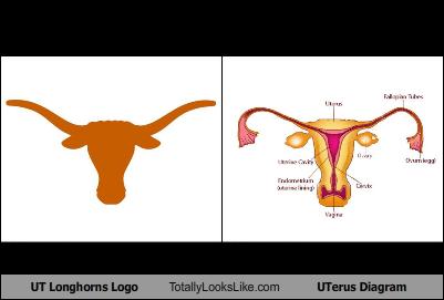 UT Longhorns Logo Totally Looks Like UTerus Diagram - Cheezburger