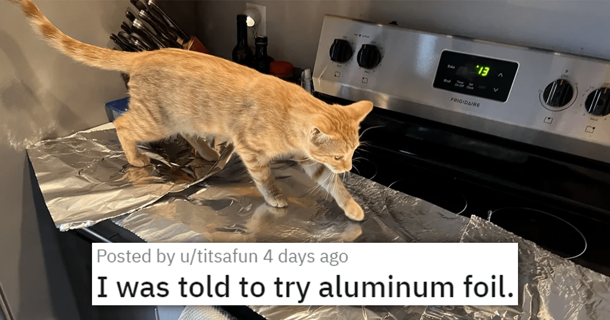 Keep cat off outlet counter with foil