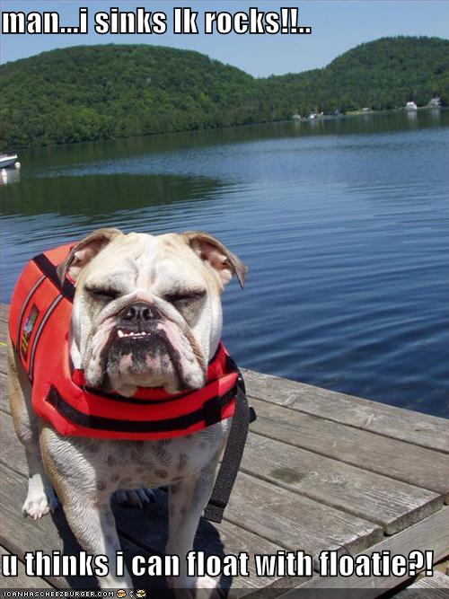 funny floatie