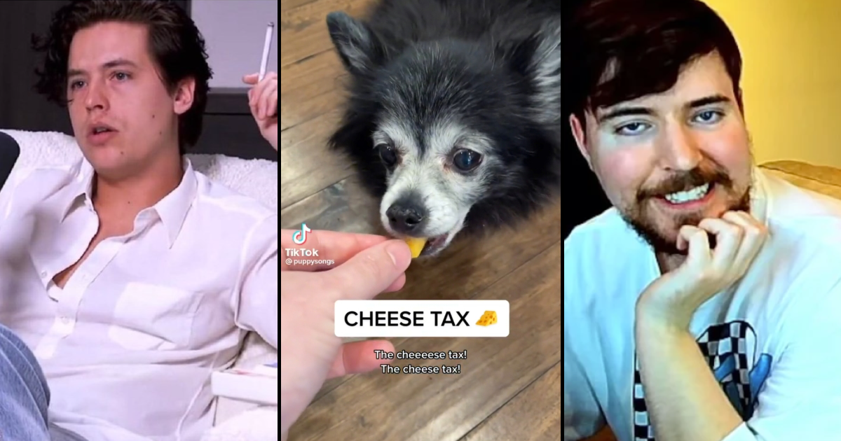 Weekly Roundup TikTokers Pay the Cheese Tax, Elon Does Ableism, and the Cult of