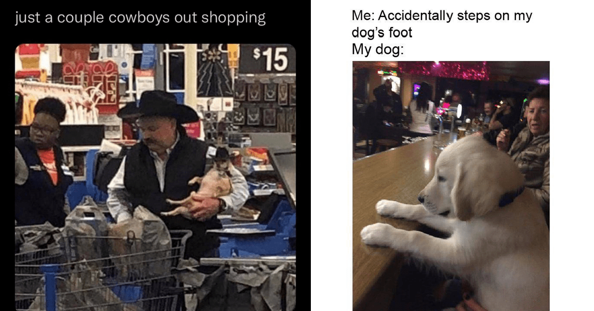 Funniest Dog Memes of the Week For Canine Connoisseurs (April 27, 2023 