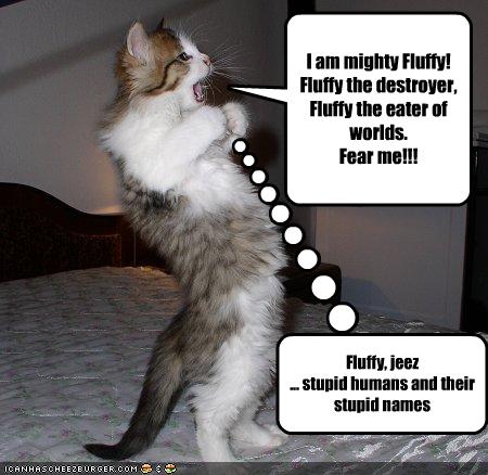 I am mighty Fluffy! Fluffy the destroyer, Fluffy the eater ...