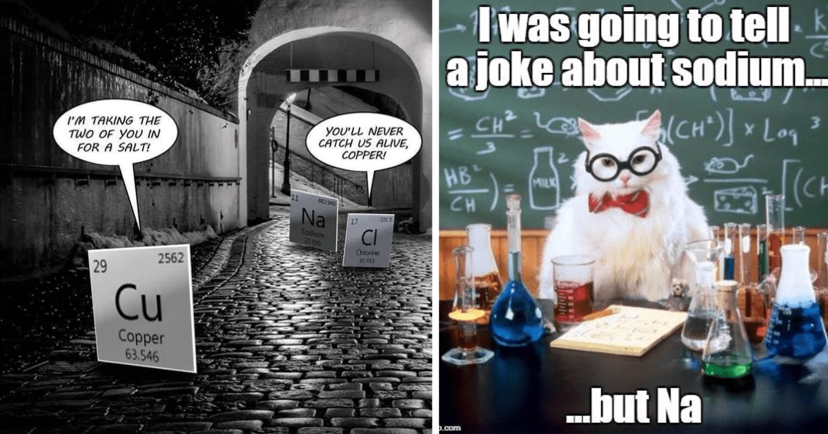 science cat meme na