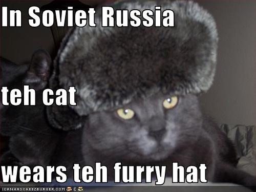 In Soviet Russia Teh Cat Wears Teh Furry Hat Cheezburger Funny Memes Funny Pictures