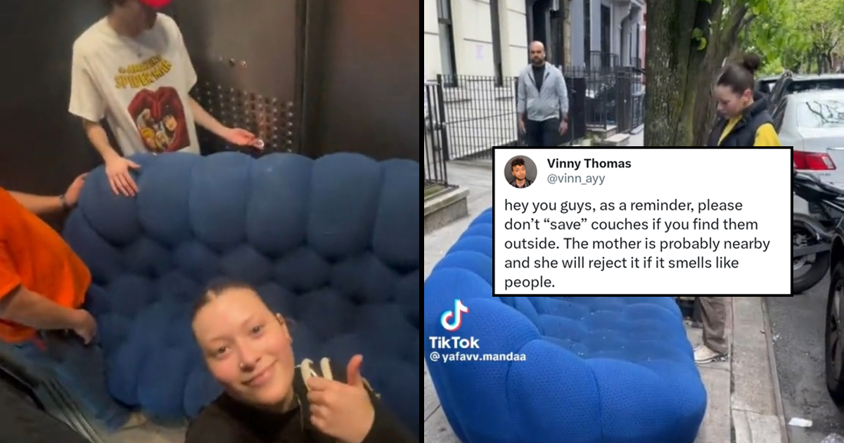 'Bedbugs are throwing a Coachella in her apartment as we speak' Woman