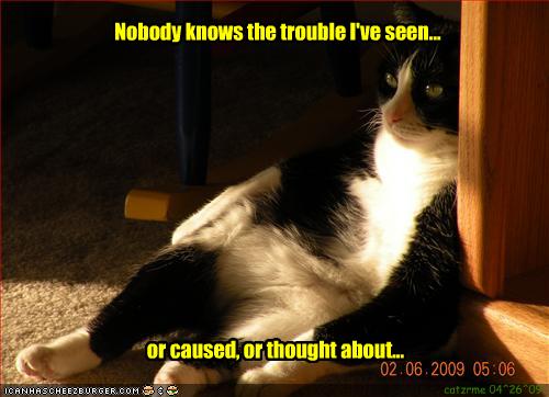 Nobody knows the trouble I've seen... - Cheezburger - Funny Memes ...