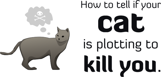 How To Tell If Your Cat Is Plotting To Kill You - I Can ...