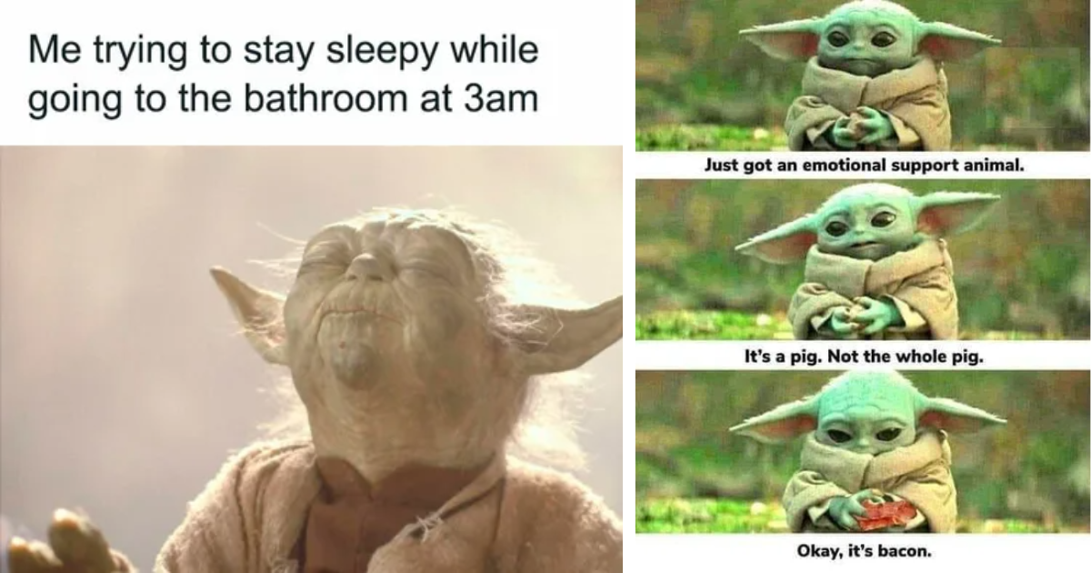 Memes, We Have: 21 Funny Memes About Yoda We Present - Geek Universe ...