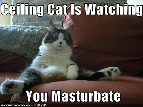 Ceiling Cat Is Watching You Masturbate Cheezburger Funny