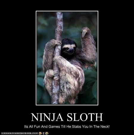 tattoo sloth ninja SLOTH  Cheezburger   Memes  Pictures  NINJA Funny  Funny