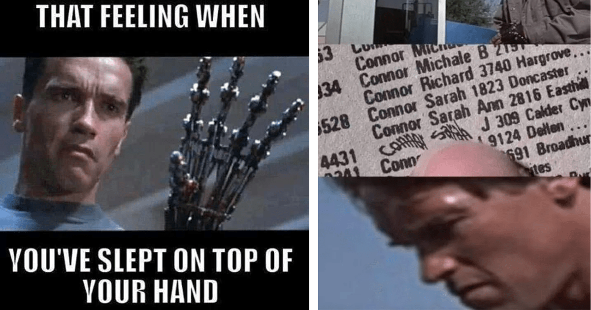 I'll Be Back... with Memes: 17 Terminator Memes to Tickle Your Funny ...