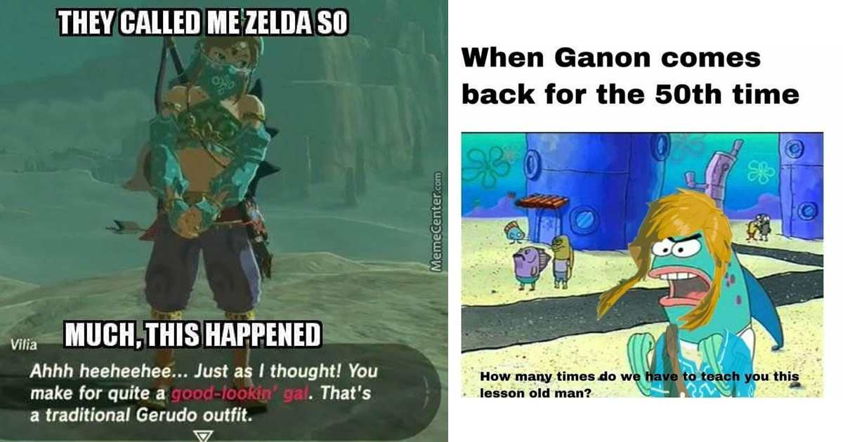 The Legend Of Zelda: 10 Breath Of The Wild Link Memes That Are Too