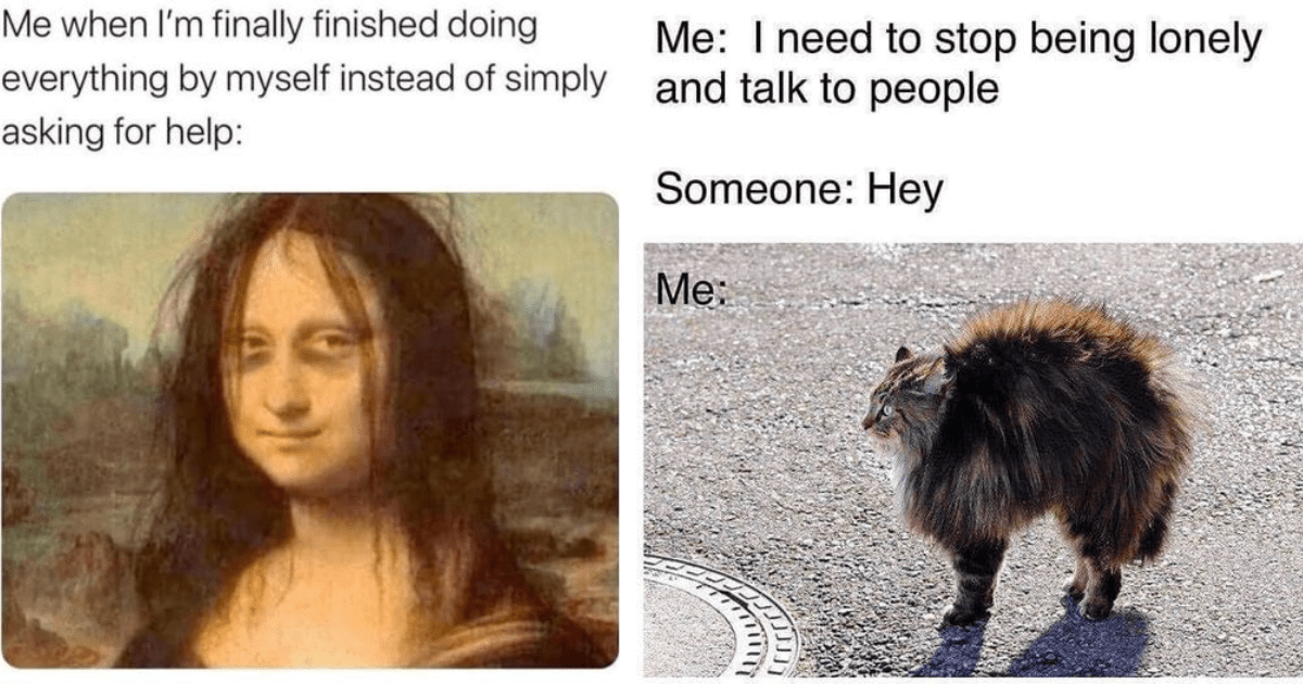 30+ Introvert Memes You Can Enjoy from the Comfort of Your Own Home ...