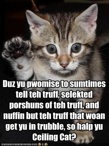 The Kitteh Oath - Cheezburger - Funny Memes | Funny Pictures