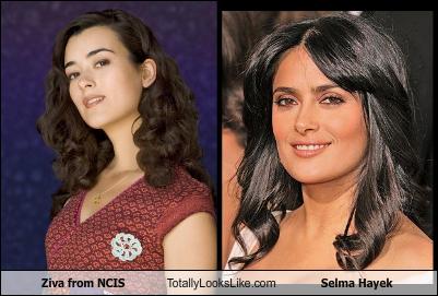 Salma hayek hot gif