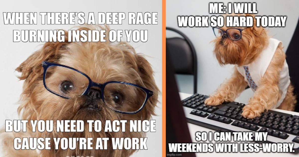 33 Silliest Dog at Work Memes For Your Lunch Break - Animal Comedy ...