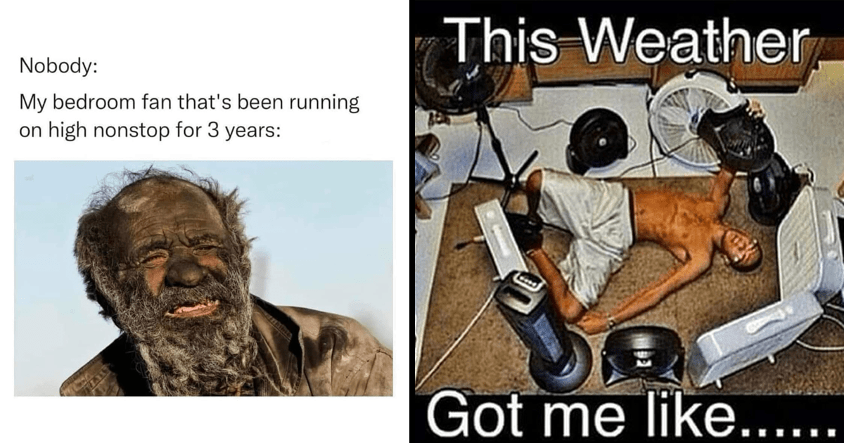 Fan Memes For Old Souls and People Who Haven't Installed Their Air