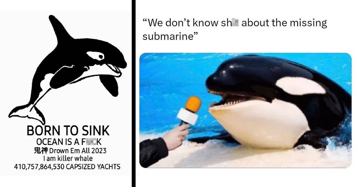 orca-memes-killer-whale-memes-orcas-attacking-yachts-submarine-missing-submarine-funny-funny-tweets