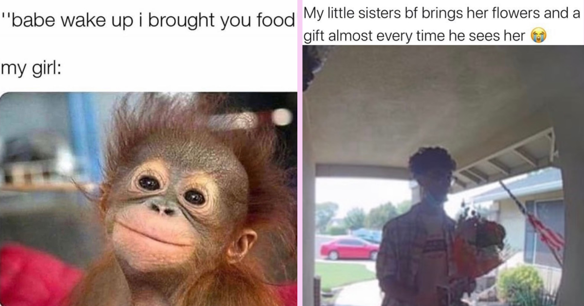 Monkey Memes - 20+ Funny Images Relatable To Life