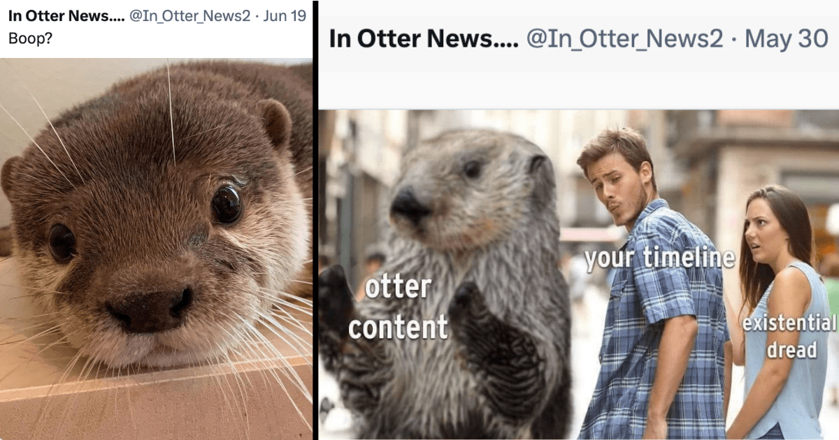 No Otter Way To Celebrate Hump Day Than With 28 Wholesome And Hilarious ...