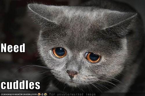 Game of thrones books