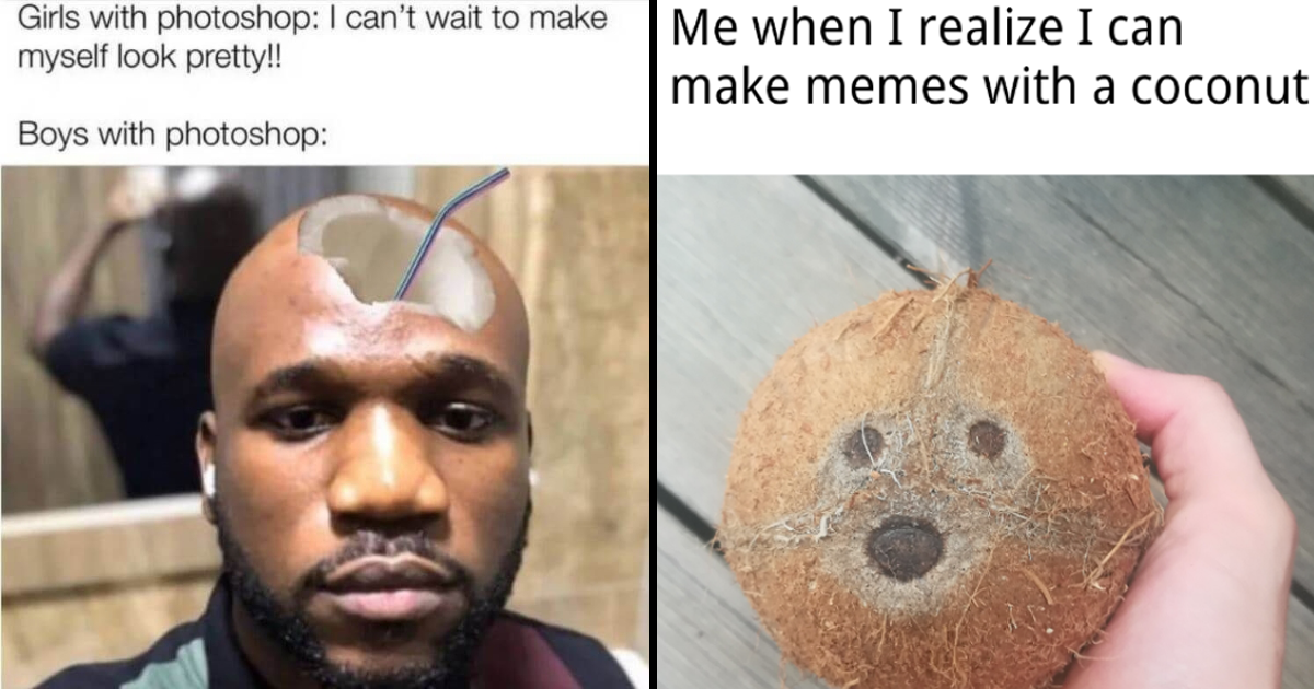 A Cluster of Coconut Memes That Have Tropical Flair Memebase Funny