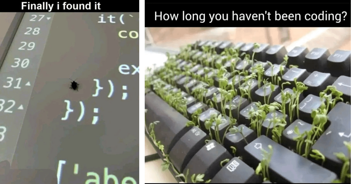 CTRL+ALT+LOL: An Array of 26 Programmer Memes That Have Passed the ...