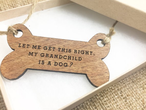 14 Funny Dog Signs That Will Make Every Dog Lover Smile - I Can Has ...