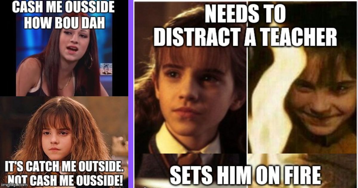 Harry Potter: 10 Memes That Hermione Granger Fans Will Love  Harry potter  cast, Harry and hermione, Harry potter headcannons