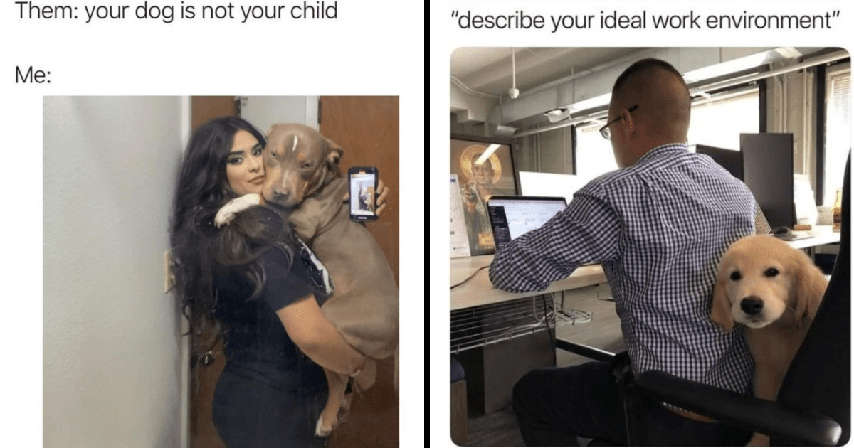 170-funny-team-names-for-kahoot-names-crunch