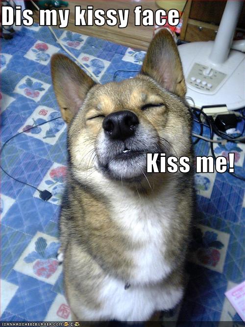 Dis my kissy face Kiss me! - Cheezburger - Funny Memes ...