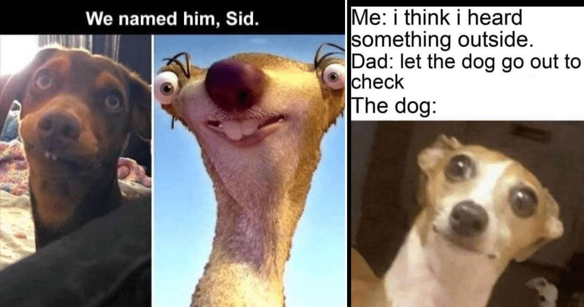 Funny Meme 3